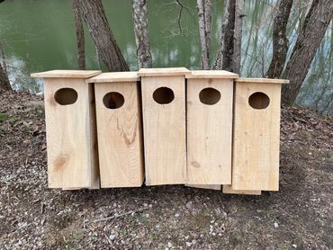 #50HouseProject The 50 House Project