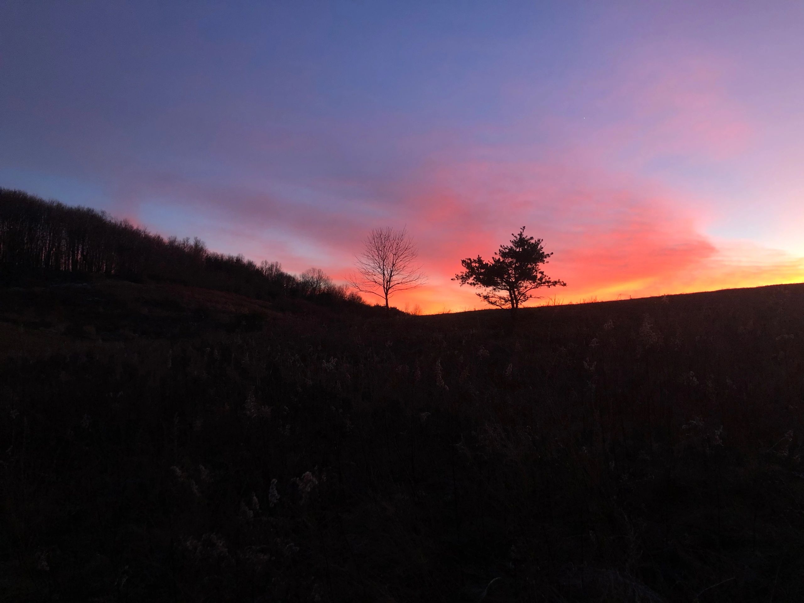 A view of the Habitat Oasis Project on Hardy Brothers Outdoors