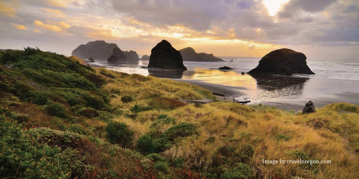 Sunset over rocky coastline and grassy dunes.