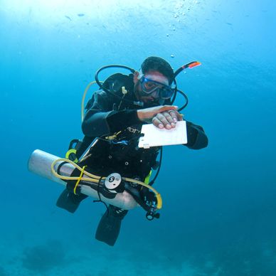 Learn to be a self-reliant with Self-Confident Diver