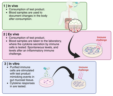 Immune system tests