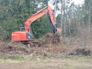 A machine gathering dead trees