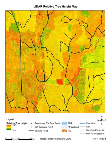 LiDAR Relative Tree Height map