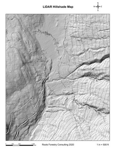 A copy of the LiDAR Hillshade map