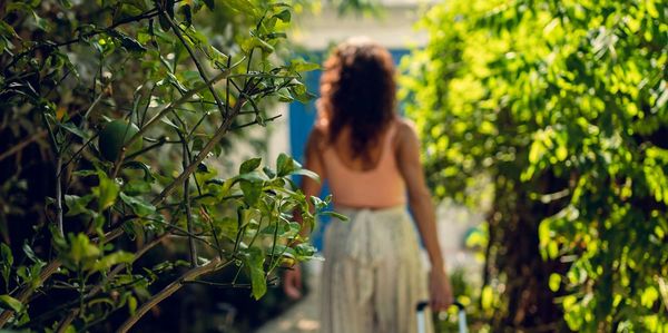 2 day retreat. Serene and lush ambience for your retreat. Ozone pool, outdoor shower. Massage.