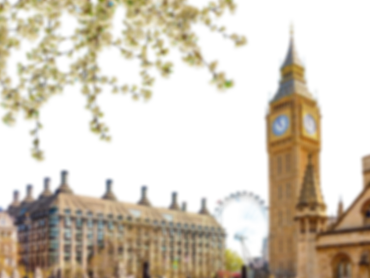 Big Ben tower with spring blossoms in London on a sunny day.