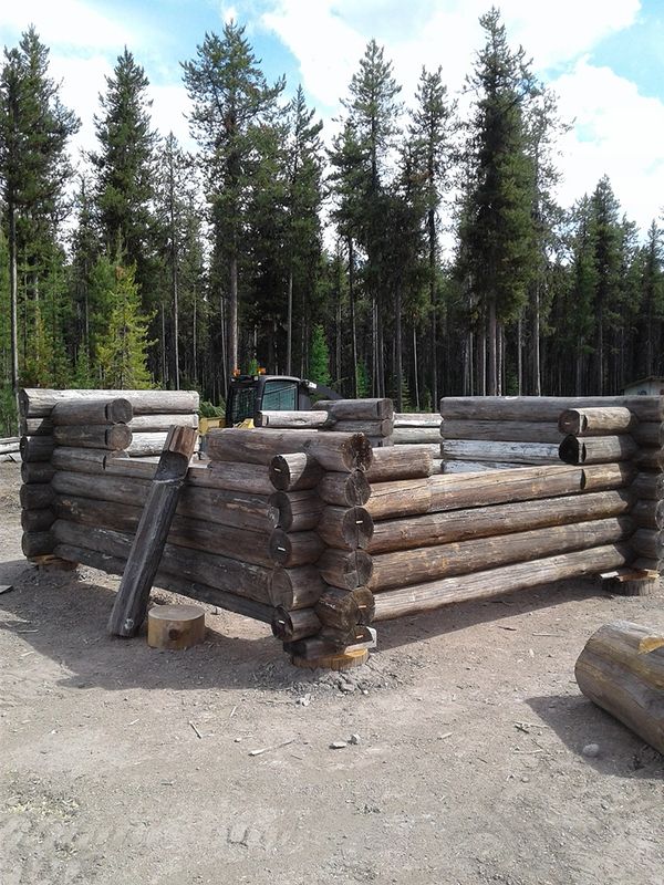 various phases of building/restoring Maki Cabin