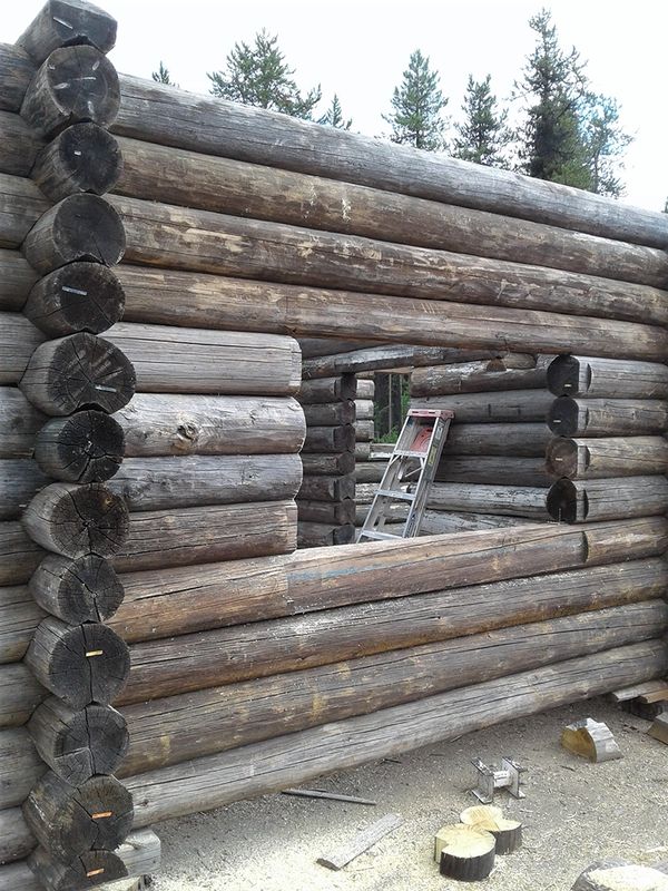 various phases of building/restoring Maki Cabin