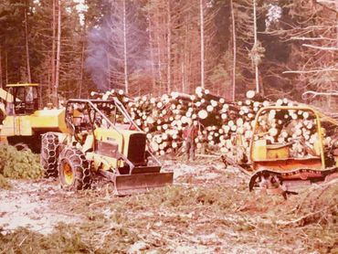 logging equipment with felled trees in background