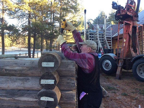 various phases of building/restoring Maki Cabin
