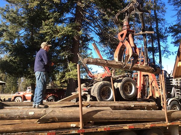 various phases of building/restoring Maki Cabin