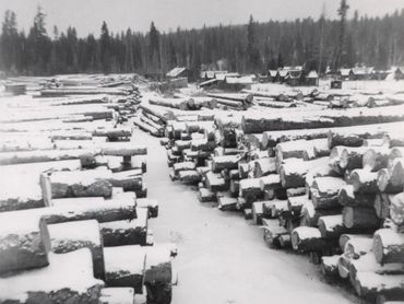 logs covered in snow, cabins in background