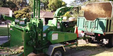 Tree Pruning