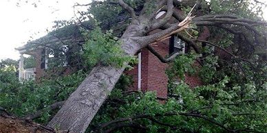 Disaster Relief