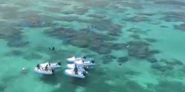 Cades reef snorkelling