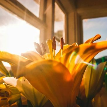 Longevity is one of our core values. We're here to stay.