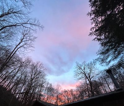 Sunset sky with bare trees silhouette.