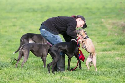 Sioux with her dogs, Forrest, Bonnie and Gambit, lurchers and whippets