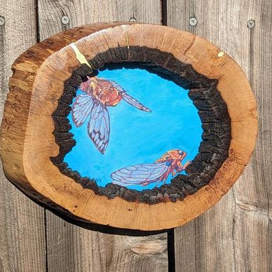 Two cicadas in acrylic on inset wood panel