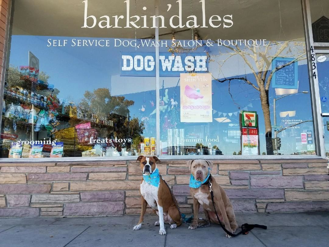 Barkin dales Dog Wash Boutique Dog Wash Grooming