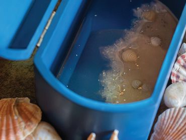 Wooden Keepsake Box with Epoxy Resin Seashell Inside