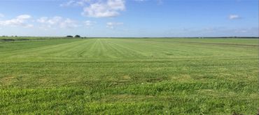 B&S Grass Farm