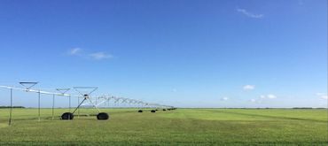 B&S Grass Farm showing irrigation move unit