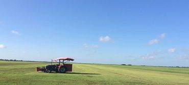Sod Farm with Small Sod Harvester