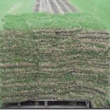 Pallet of Grass