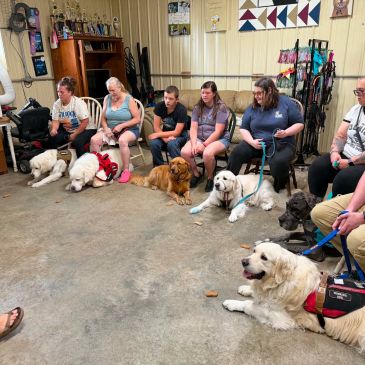 Group of people with therapy dogs in a training room.
