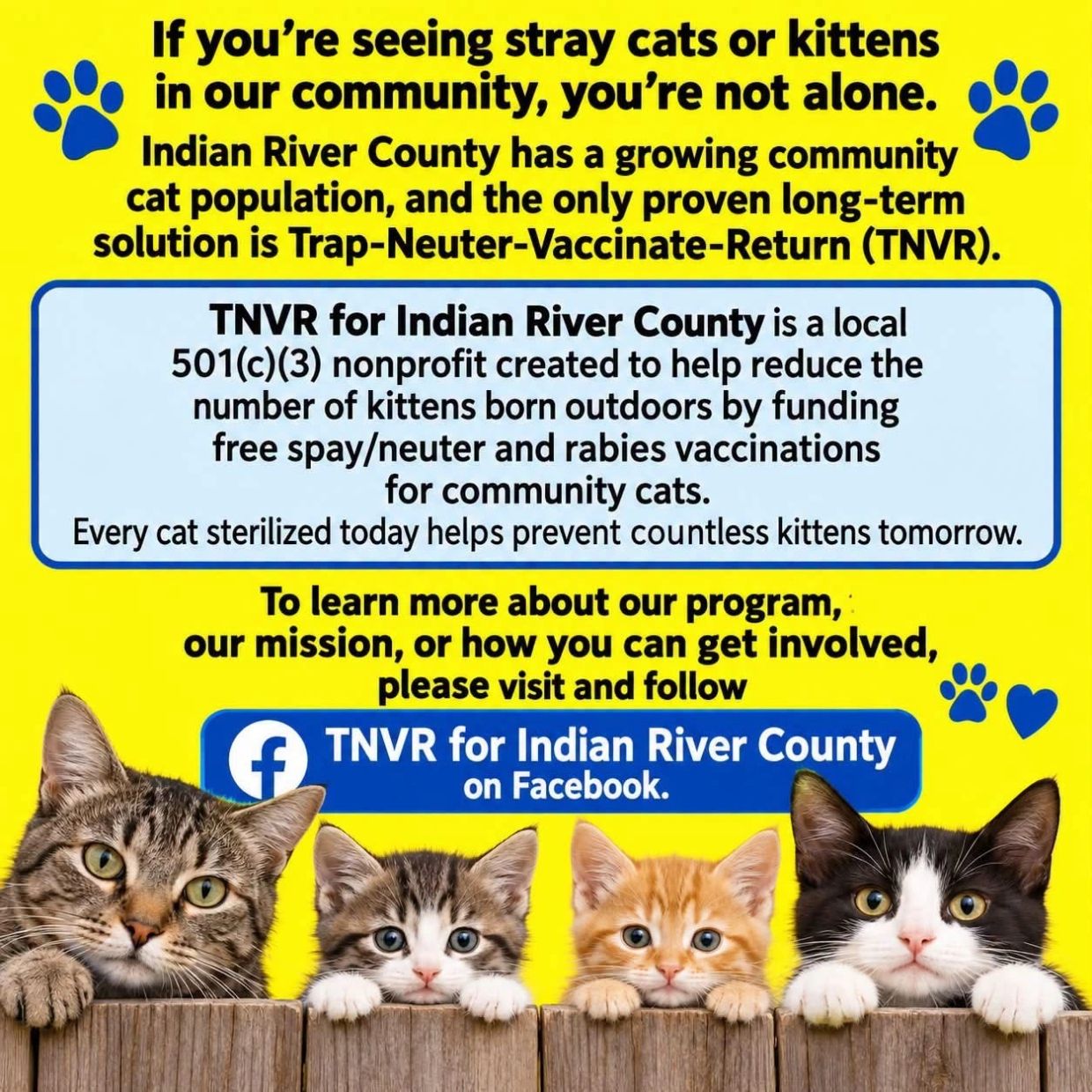 Information about Trap-Neuter-Vaccinate-Return (TNVR) for community cats.