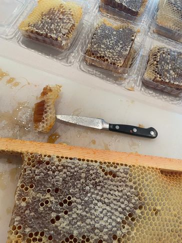 Our hive populations are large enough now to draw their own honey comb. We are also dabbling in the