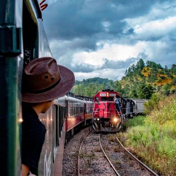 viaje en el tren chepe