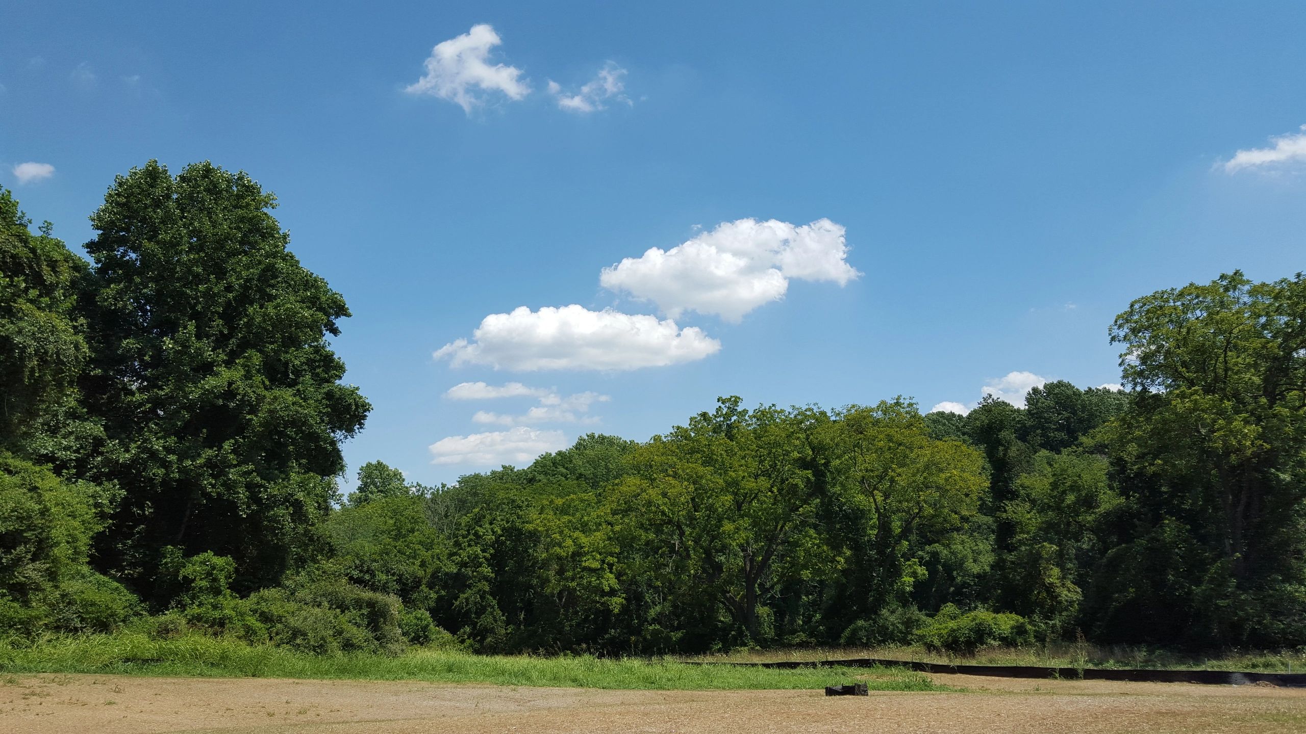 Flynn Land Development