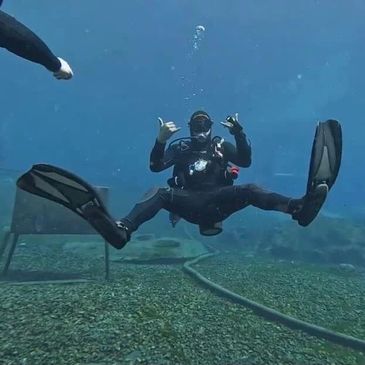 Scuba diving adventure, beginner, scuba, course scuba, instructor, safe, Morrison Springs