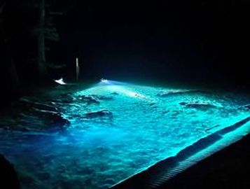 night diving, dive the springs at night