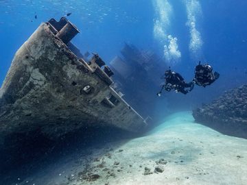 Dive with sealife, Underwater sealife encounters, Scuba diving with marine life, Explore sealife while diving, Sealife scuba diving trips, Dive into sealife habitats, Sealife diving experiences, Dive with tropical sealife, Discover sealife underwater, Sealife diving tours, Sealife