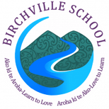 Birchville School