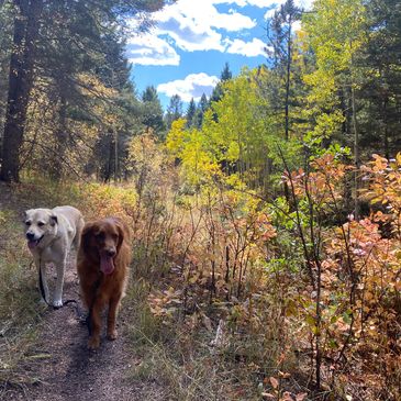 I'll research as needed for historical and informational context.
I'll solicit friends, relatives, a