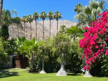 palm springs botanical gardens