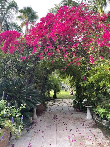 Romantic outdoor wedding venue in Palm Springs.