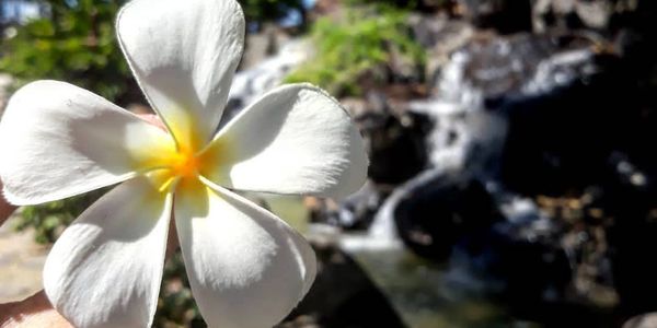 Hawaii, Getaway