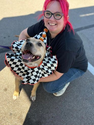 Brandy with Scooby, a staffordshire terrier mix in a clown costume