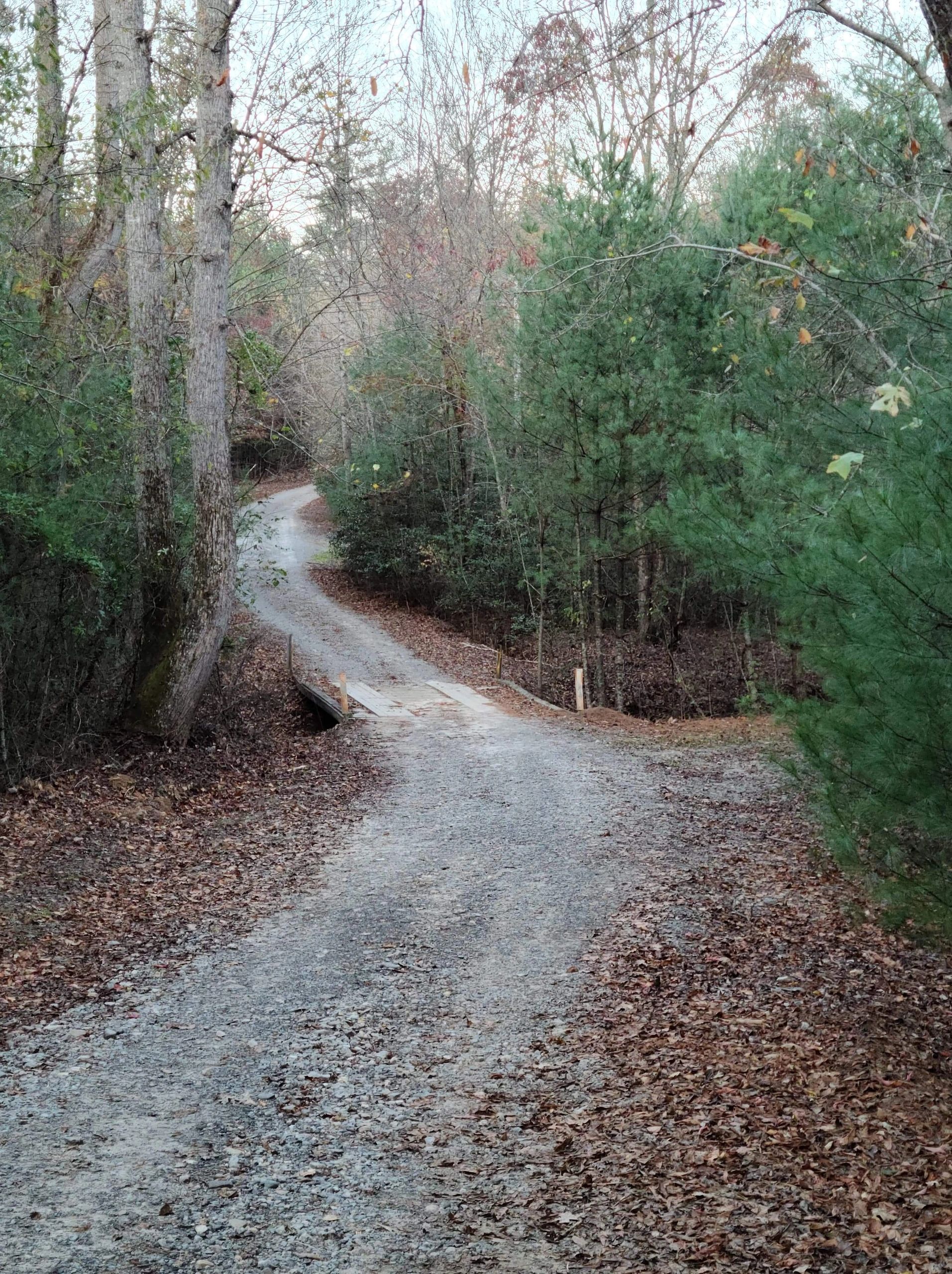 EXPERIENCE THE BEAUTY AND CHARM OF OUR VACATION RENTALS IN THE HEART OF THE BLUE RIDGE MOUNTAINS, 28