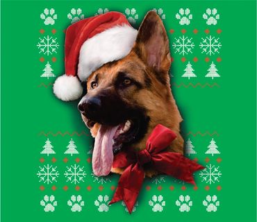 a happy german shepherd wearing a santa hat