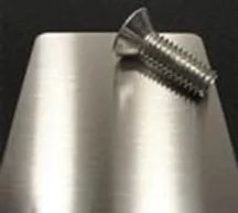 Shiny metal plate with a screw on top