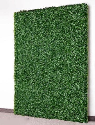 Beautiful Boxwood wall rentals in various sizes.
