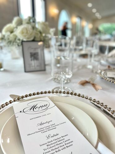 Premium Modo Water Gobets | Chattanooga Event Rentals| Wedding Rentals | Rental Cart