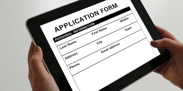 maine coon adoption california