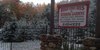 A photo showing the road sign for High Sierra Iris & wedding gardens